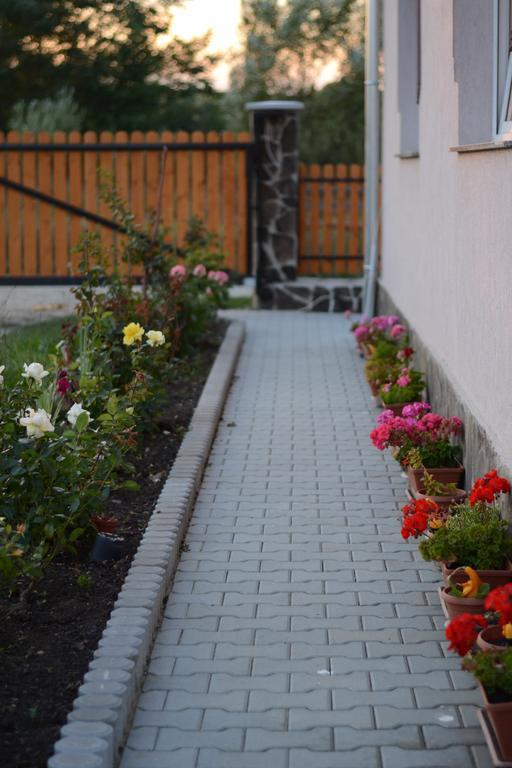 Ersa Panzio Ξενοδοχείο Bisericani  Εξωτερικό φωτογραφία